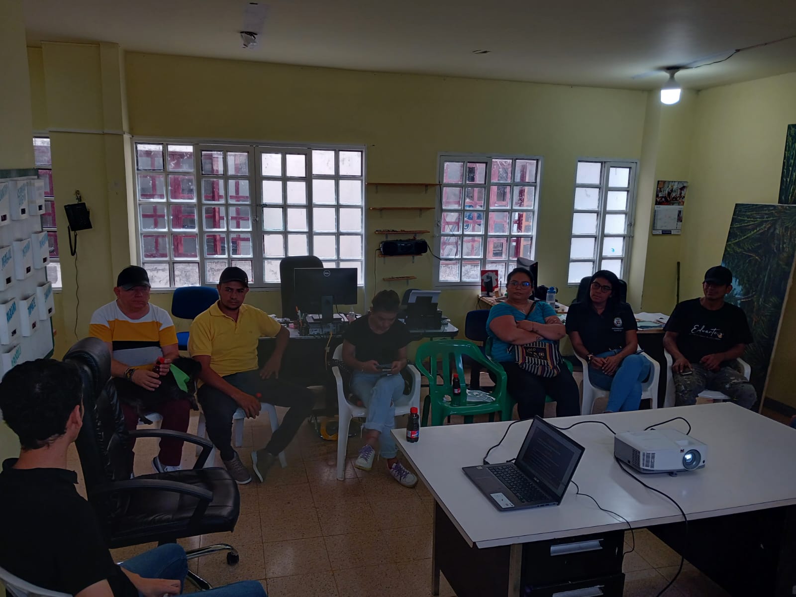 Operación como Comité Consultivo y Asesor